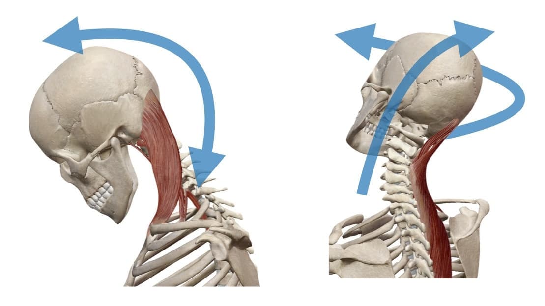 前腕の回内・回外