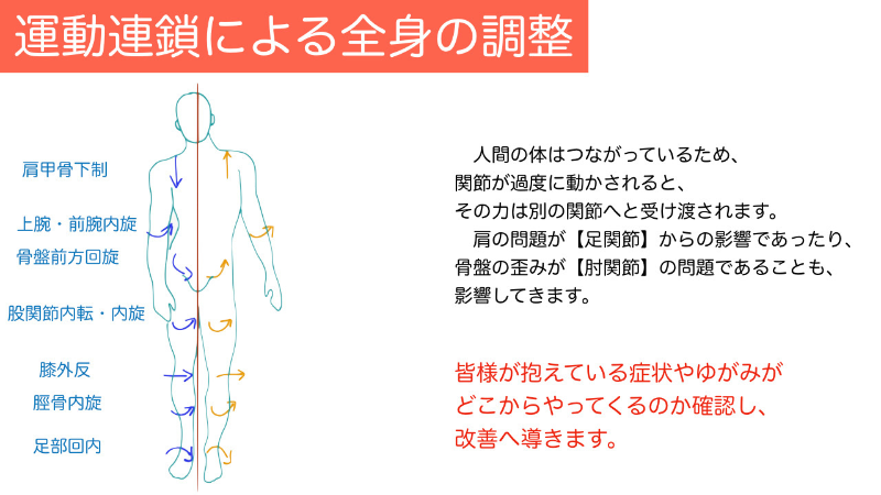 運動連鎖